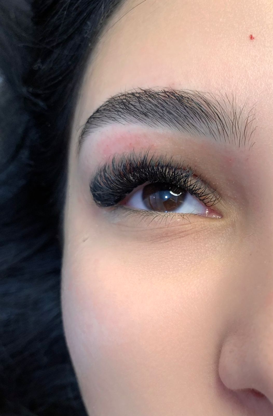 Volume brasileiro e design